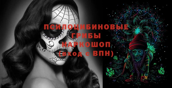 дживик Козельск
