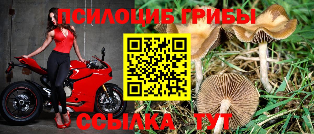 Галлюциногенные грибы прущие грибы Кузнецк