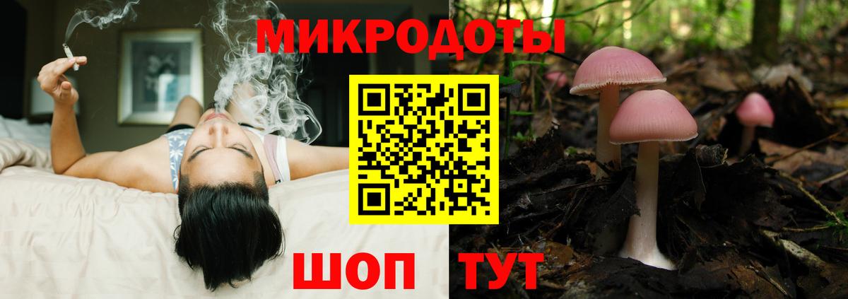 Псилоцибиновые грибы Psilocybine cubensis  Вход с VPN  Кузнецк  Псилоцибиновые грибы GOLDEN TEACHER 