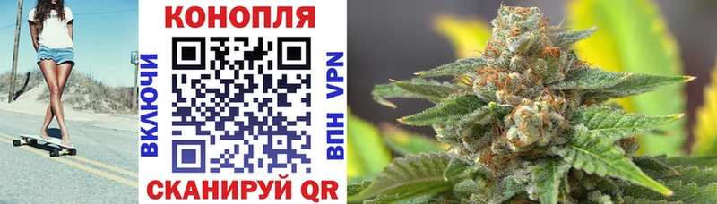 Шишки марихуана Amnesia Кузнецк