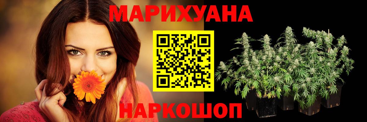 Каннабис ГИДРОПОН  Бошки марихуана VHQ  Вход с VPN  Бошки Шишки White Widow  Кузнецк  Шишки марихуана OG Kush 